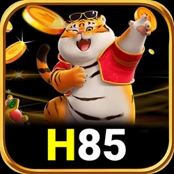 desa55